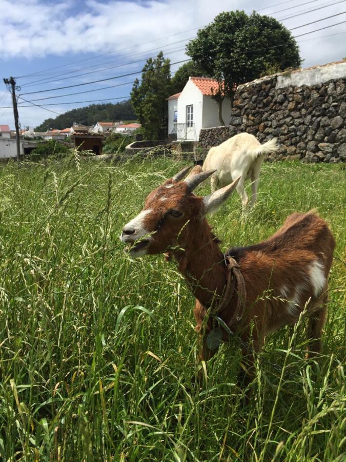 The Azores Homestead - Terceira Santa Barbara  Exterior photo